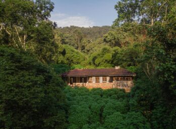 Gorilla Conservation Camp: Stay Here for a Remarkable Wildlife Experience in Bwindi Impenetrable Forest 2026!