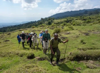 Is Rwanda safe to visit? Trekkers led by a park ranger in Volcanoes National Park