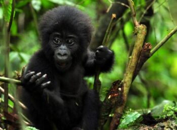 Boda Boda Safaris in Kampala – Book a City Tour Today for an Unforgettable Experience