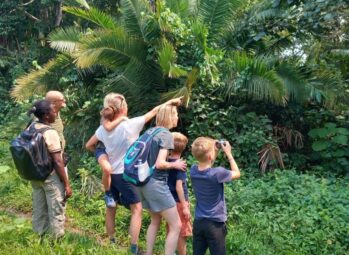 Amazing Animals of Uganda: A Complete Guide to Uganda’s Iconic Wildlife