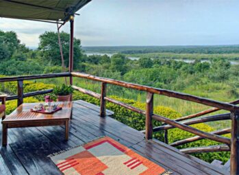 10 Reasons a Gorilla Trekking Adventure Is Africa's Most Unforgettable Experience