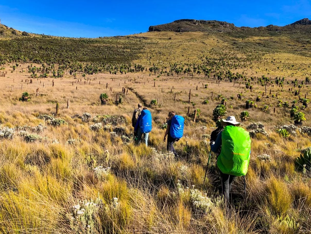 National Parks in Uganda