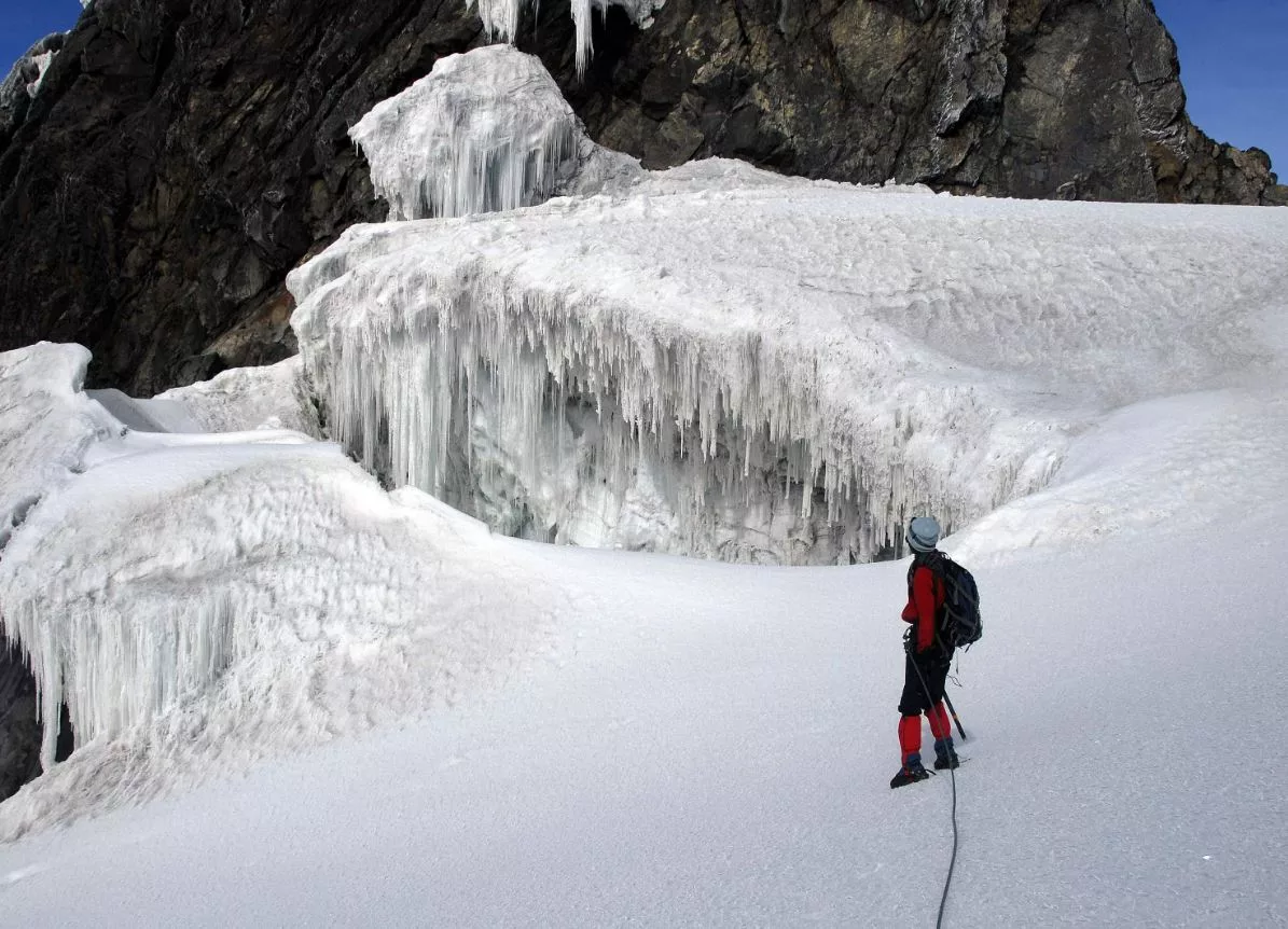 Rwenzori Mountains trekking tours