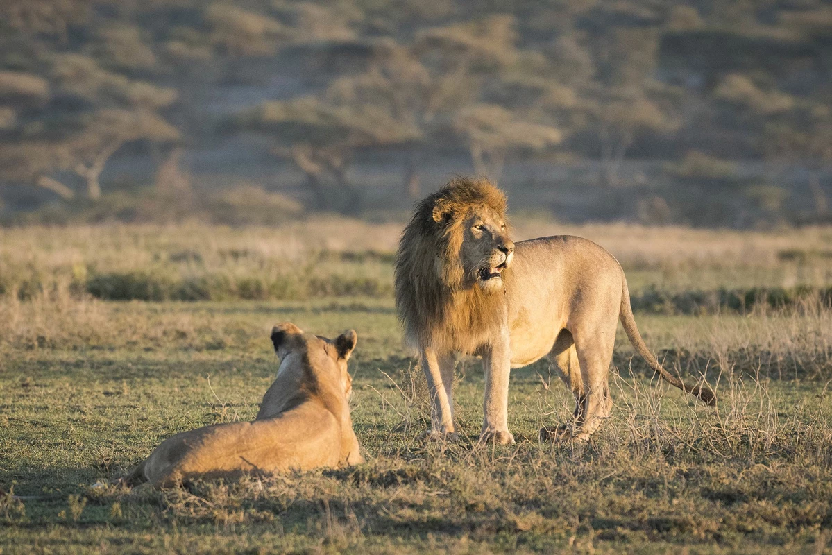 3-Day Tanzania Safari To Tarangire & Ngorongoro Crater