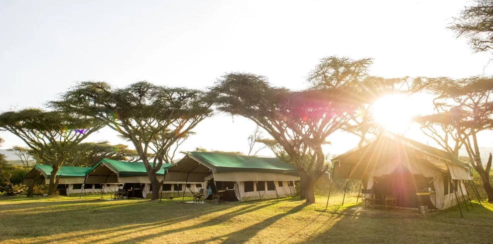 6-day Tanzania safari