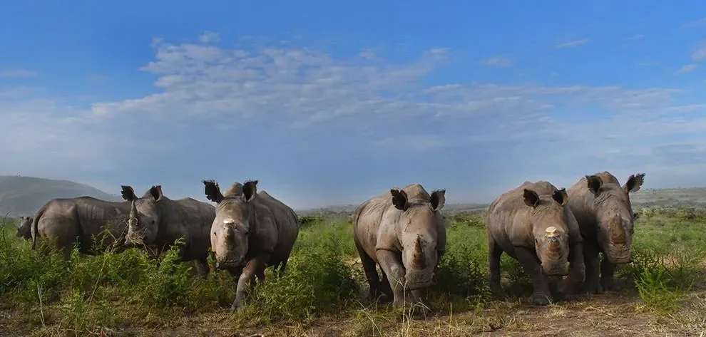 Akagera National Park
