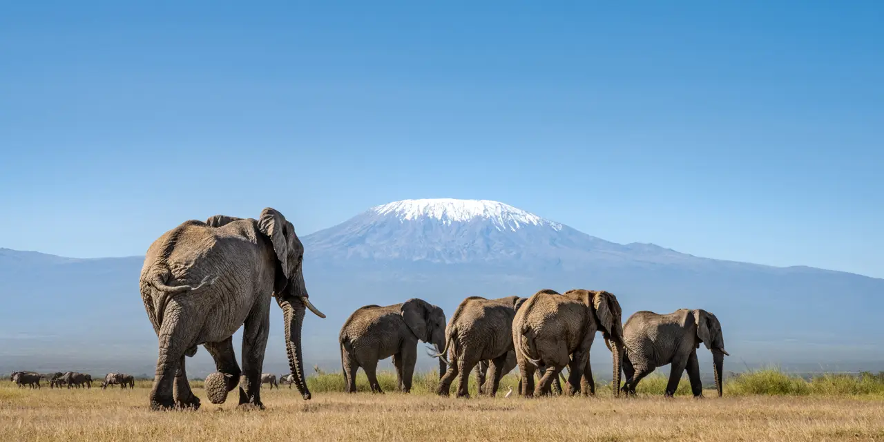 Tanzania vs kenya safari