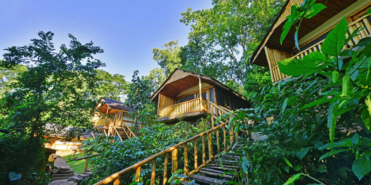 Where to stay in Buhoma