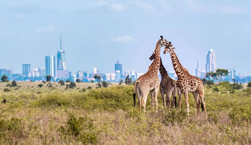 Nairobi City Tour
