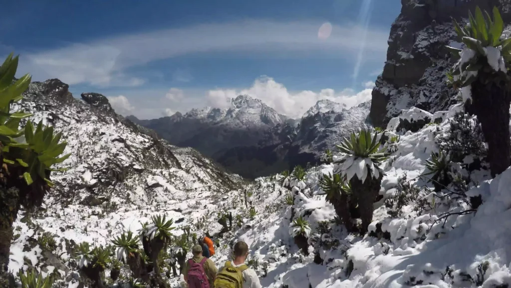 Rwenzori Mountains National Park
