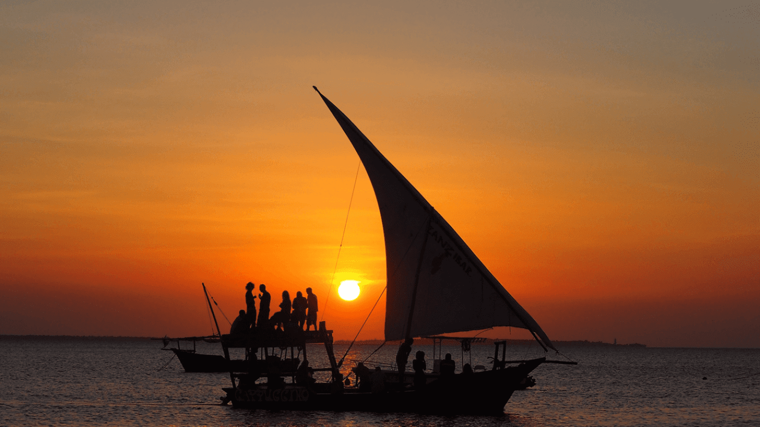 7 Days in Zanzibar | Dolphins, Safari Blue & Sunset Dhow Cruise
