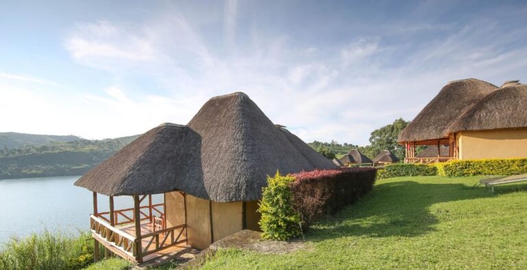 15 Best Kibale National Park Lodges: Luxury, Mid-Range and Budget Kibale National Park lodges and camps