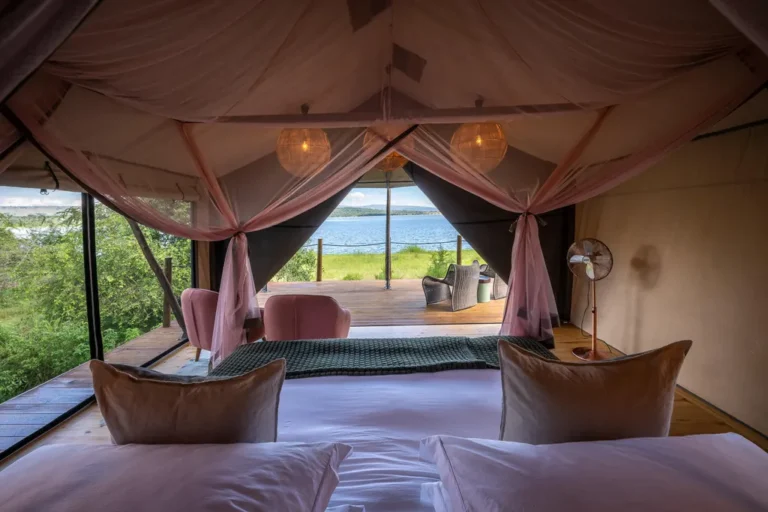Akagera National Park: The Complete Guide to 10 Amazing Things to Do on a Rwanda Big Five Safari Safari lodge accommodation in Akagera National Park