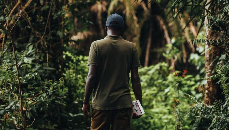 Kibale Forest National Park: 10 Amazing Things to Do in Uganda’s Primate Capital Nature walk trail in Kibale Forest National Park