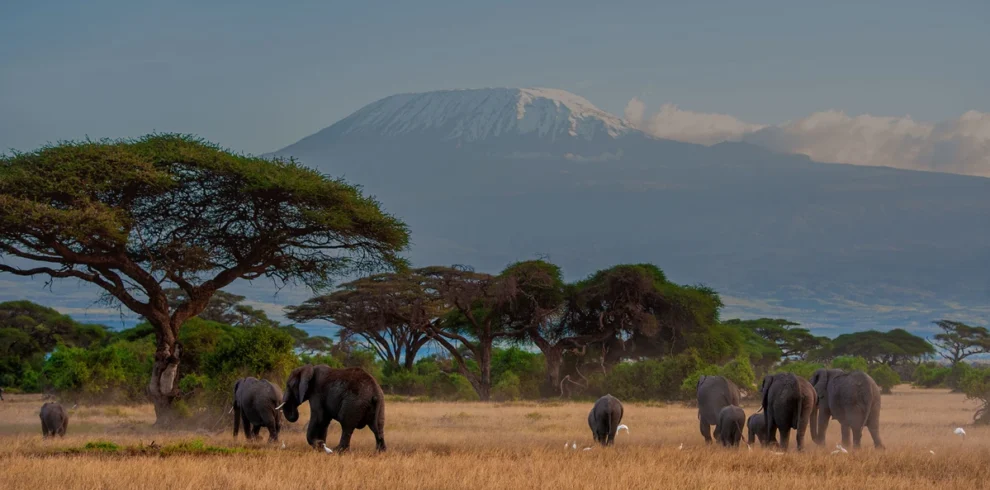 Best Tanzania safaris And Tours