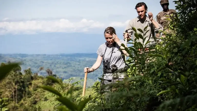 3 Day Gorilla Trekking Uganda: By Road, by Air or from Kigali Trekkers with a ranger guide on a forest trail in Bwindi