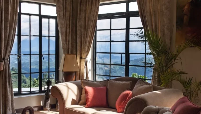 3 Day Gorilla Trekking Uganda: By Road, by Air or from Kigali Lodge room with forest views near Bwindi Impenetrable Forest
