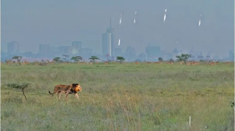 Nairobi City Tour