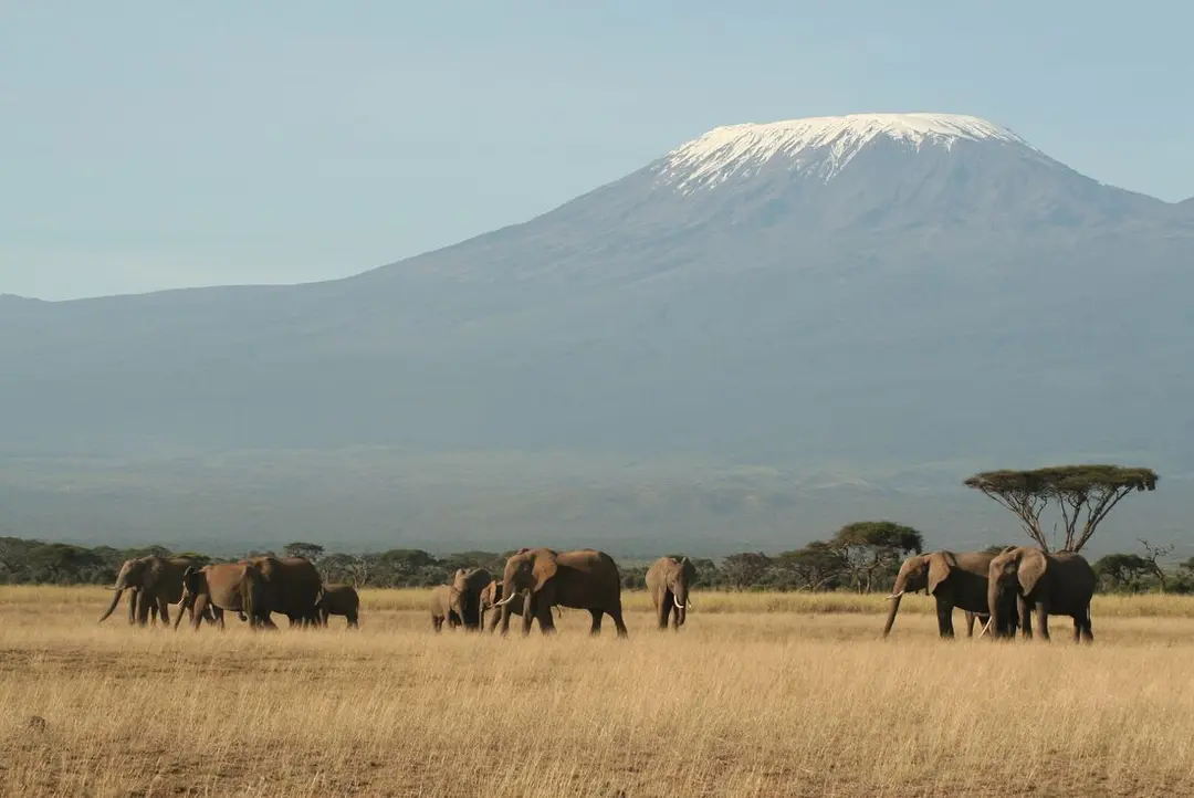 8-Day Kilimanjaro