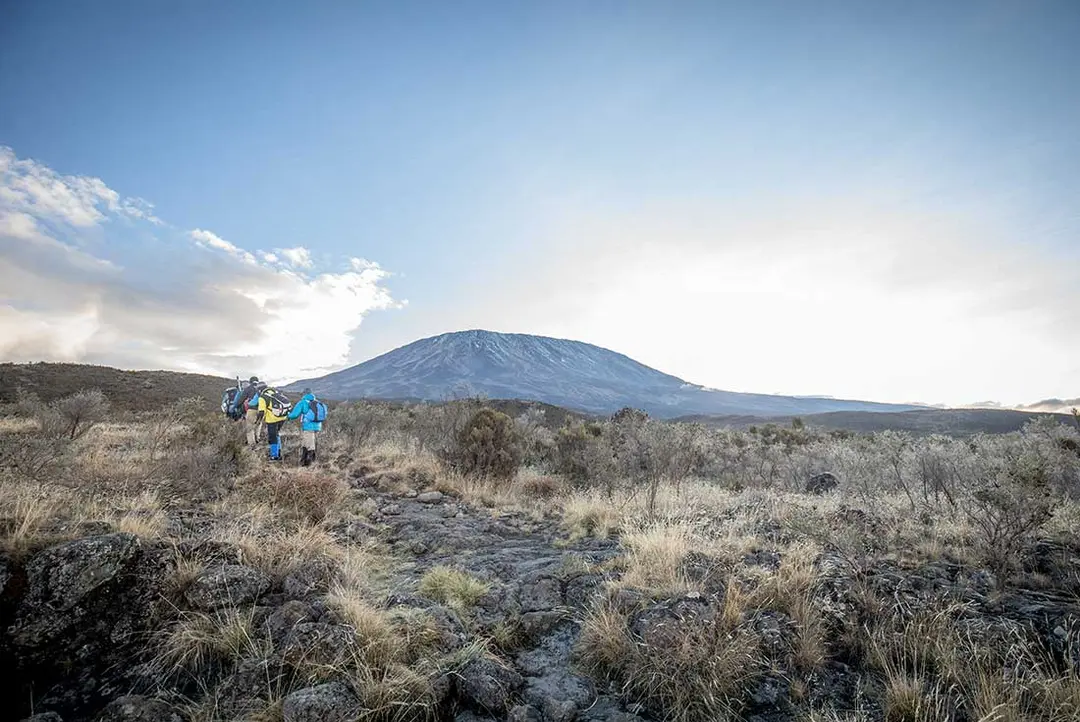 8-Day Kilimanjaro