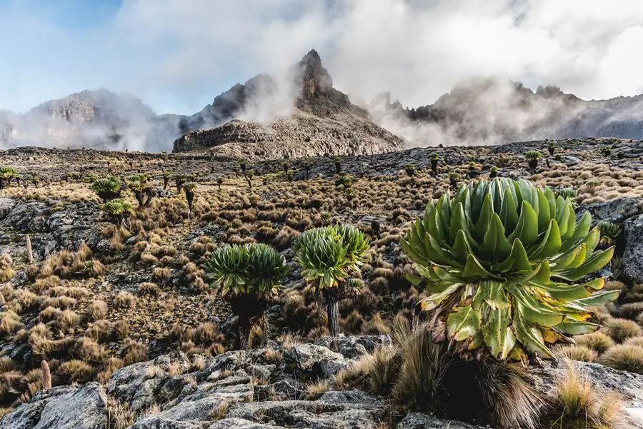 Climbing Mount Kenya