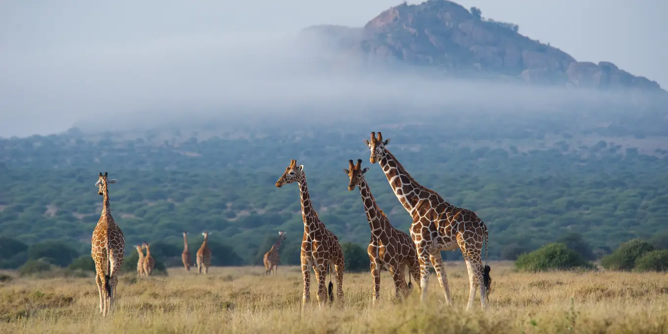 Climbing Mount Kenya