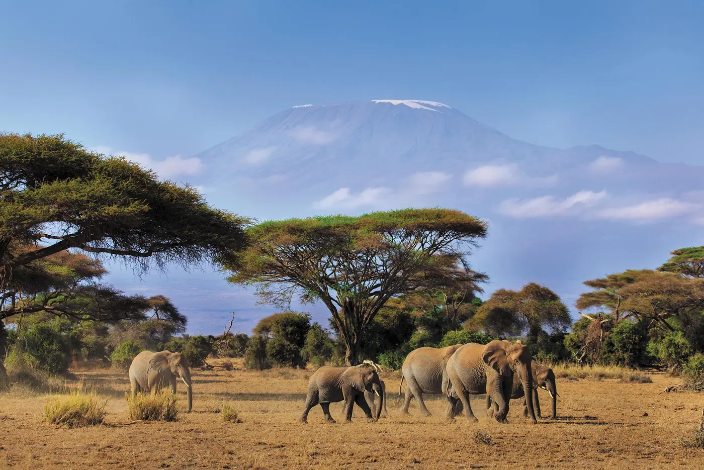 Mount Kilimanjaro Climbing Tours