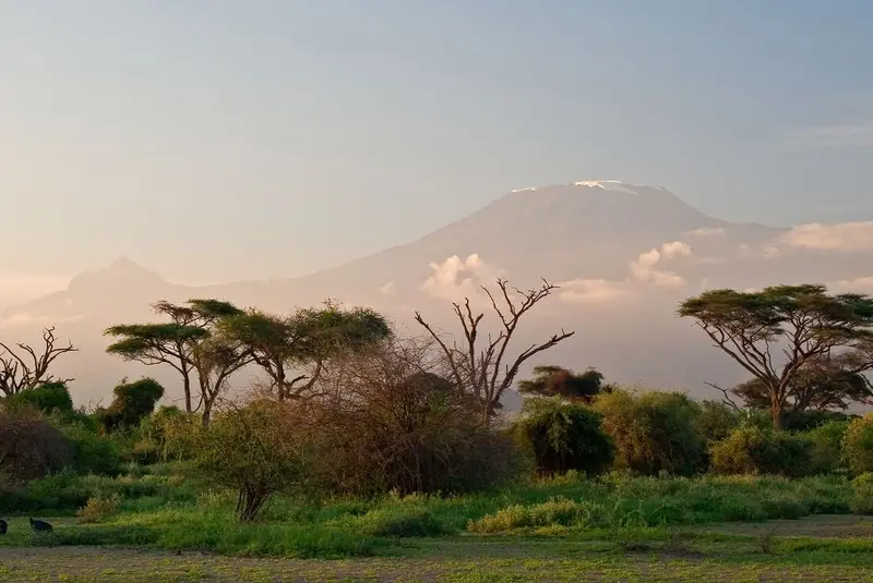 Mount Kilimanjaro Climbing Tours