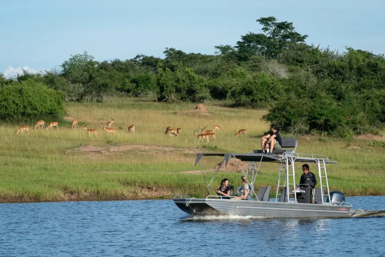 Rwanda National Parks: Complete Guide to the 4 Parks, Fees and Activities Safari boat with guests cruising on Lake Ihema in Akagera National Park