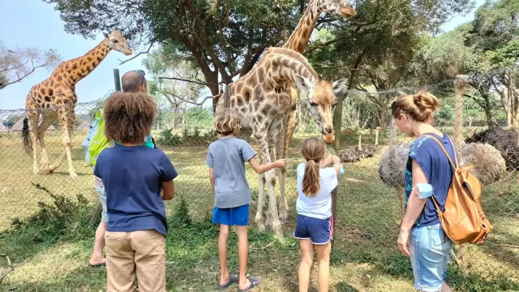 Family watching giraffes at the Uganda Wildlife Conservation Education Centre in Entebbe
