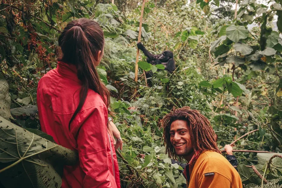 2 Day Gorilla Trekking Uganda: Discover Uganda Gorilla Safaris and Rwanda Gorilla Tours