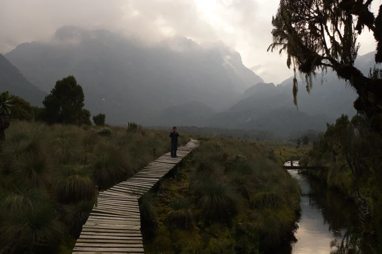 Trekkers on the Kilembe trail on a 3 day Rwenzori Mountains hike