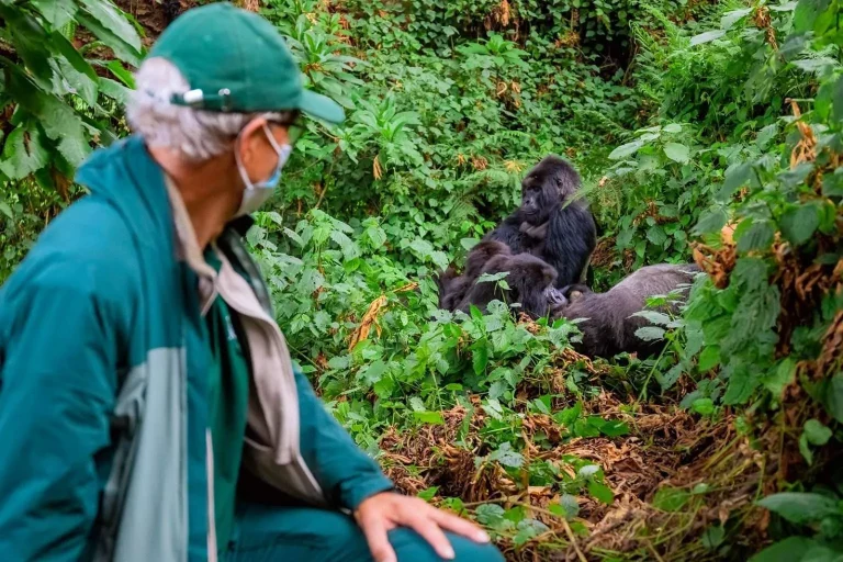 Best Uganda Luxury Safaris: Gorillas, Wildlife and Top Lodges Wildlife on a 6-day luxury safari in Uganda