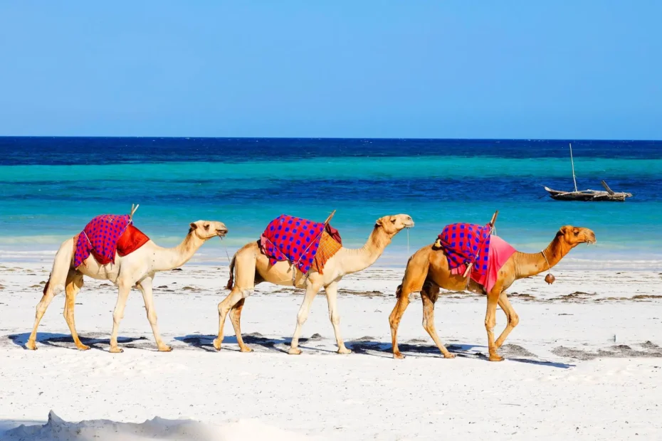 12 Best Beaches in Kenya; Mombasa, Lamu, Watamu and Malindi