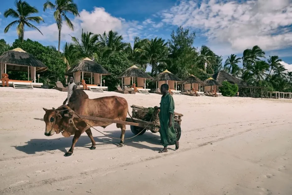 13 Best Beaches in Zanzibar –Guide To Zanzibar Beach Holiday