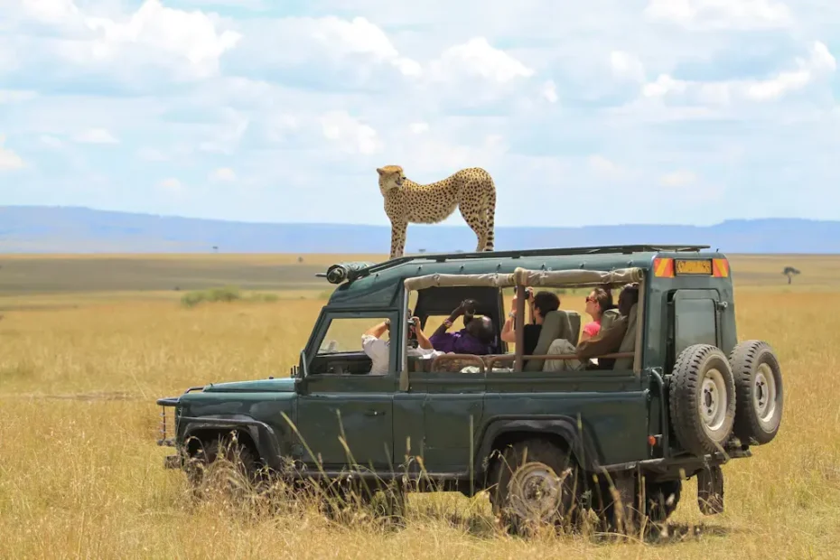 12 Most Exciting Places to Visit in Kenya (2026)