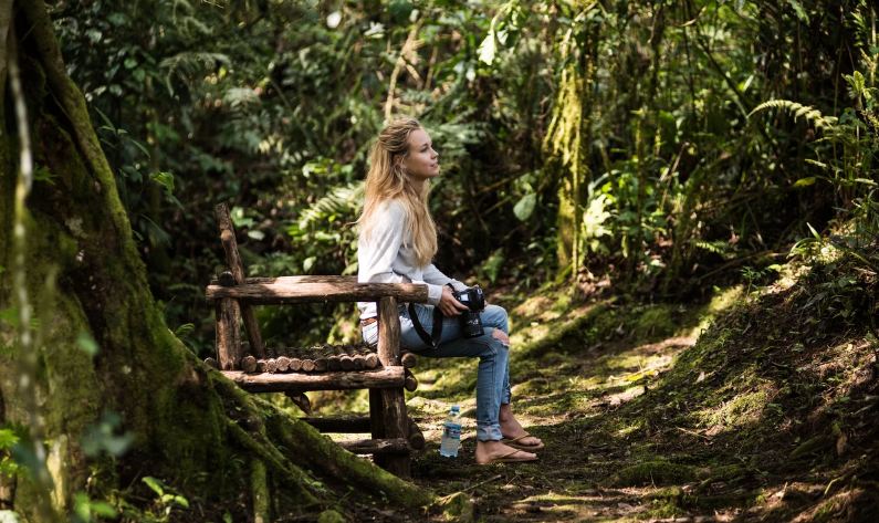 Bwindi National Park Location: How to Get There