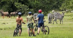 Lake Mburo National Park Uganda 