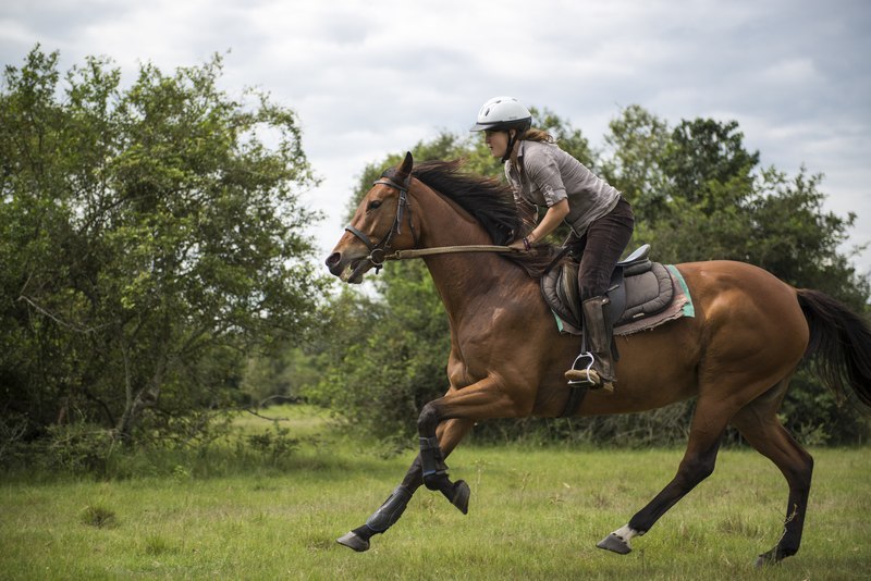 Horse Riding in Uganda
