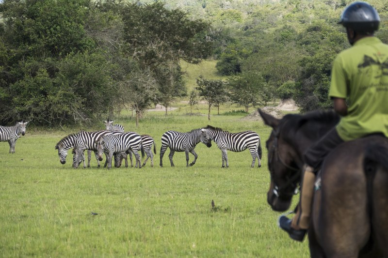 Horseback Safari in Lake Mburo National Park