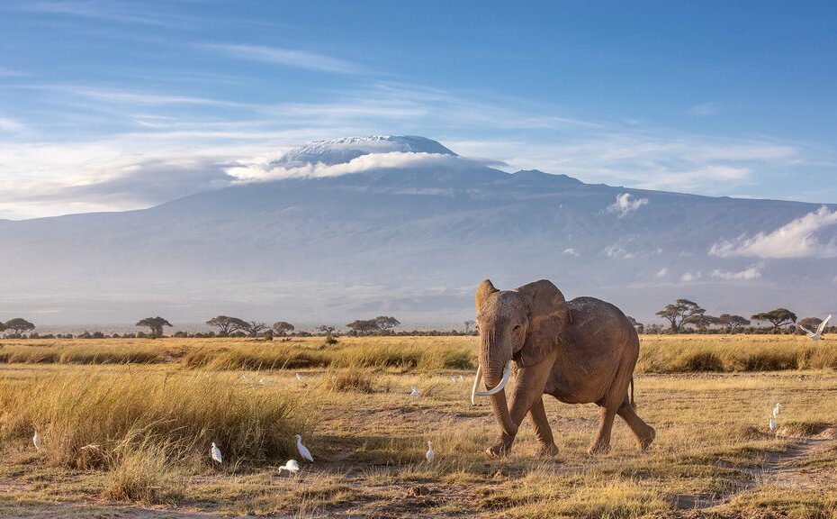 Amboseli National Park