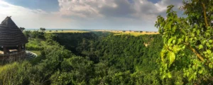 Discovering Kyambura Gorge, the Valley of Apes Discovering Kyambura Gorge, the Valley of Apes