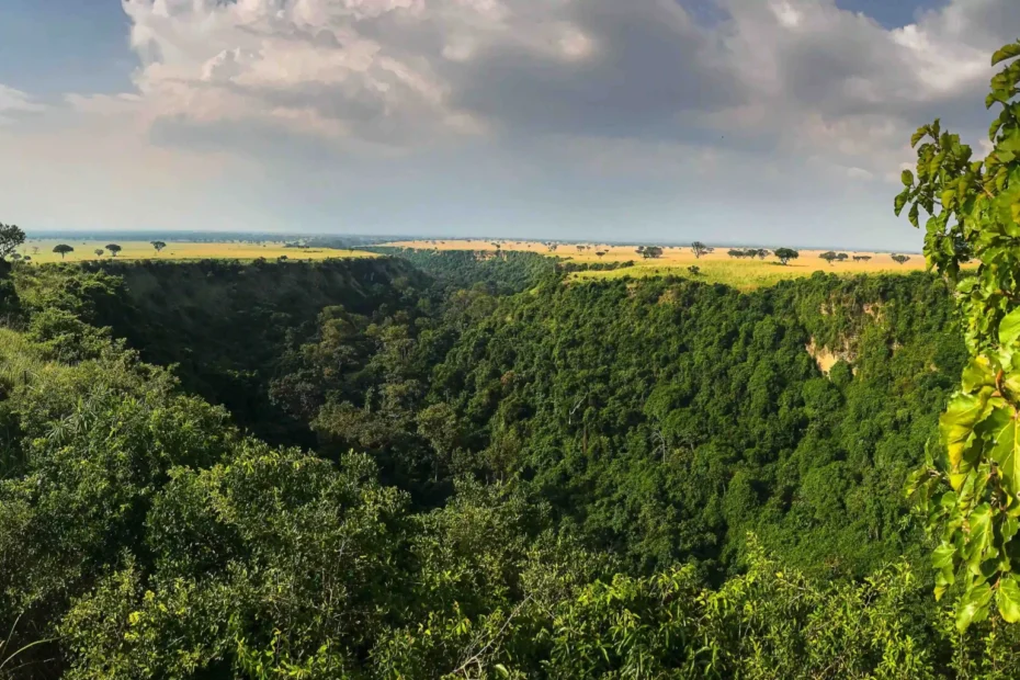 Enchanting Kyambura Gorge: 1 Hidden Gem in Queen Elizabeth National Park! Enchanting Kyambura Gorge: 1 Hidden Gem in Queen Elizabeth National Park!