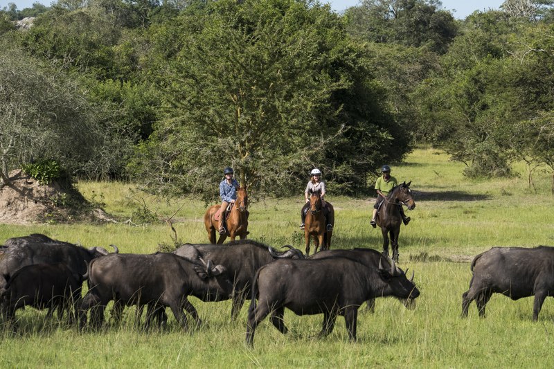 Horseback Safari in Uganda