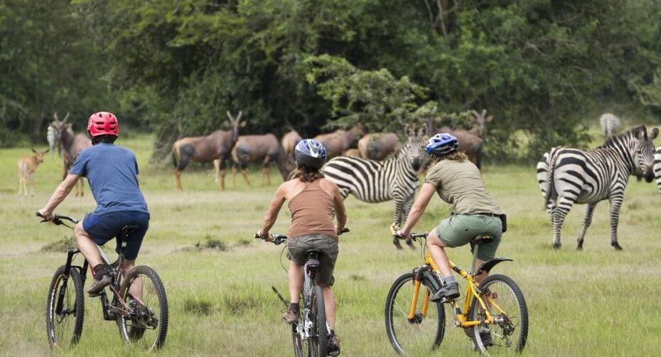 Mihingo Lodge: Lake Mburo's Best Luxury Safari Accommodation