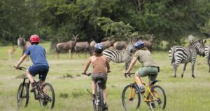 Uganda Wildlife Safaris and Game Drives: 17 Epic Destinations