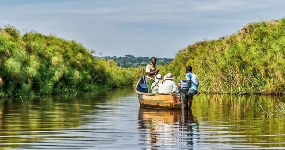 Shoebill Stork Uganda: 7 Best Places to See Africa's Most Mysterious Bird