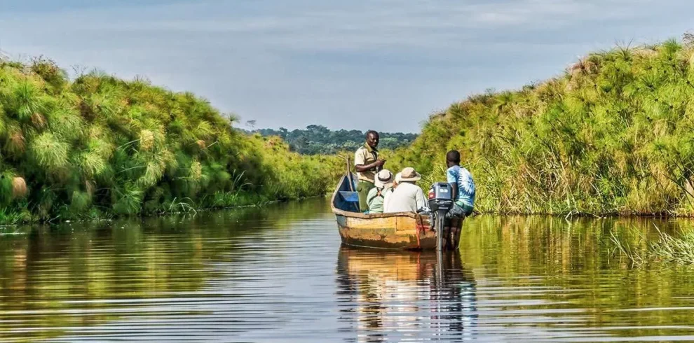 1 Day Mabamba Swamp Birding Tour: The Incredible Shoebill Experience Birding around Mabamba Swamp near Entebbe