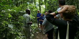 8 Visitors Per Day Gorilla Trekking