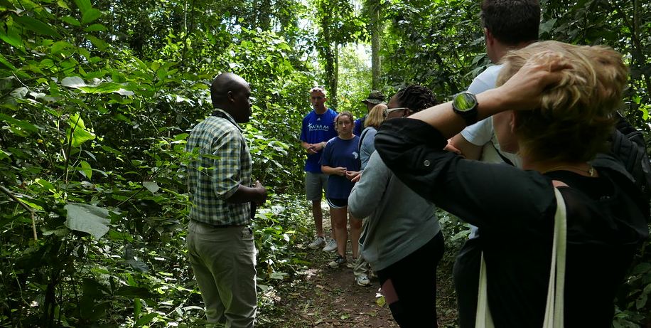 A Short 2 Day Trip to Jinja, Uganda: Your Ultimate Weekend Getaway A Short 2 Day Trip to Jinja, Uganda: Your Ultimate Weekend Getaway